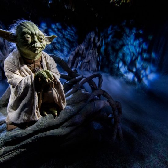 Close Up of Madame Tussauds Yoda Waxwork