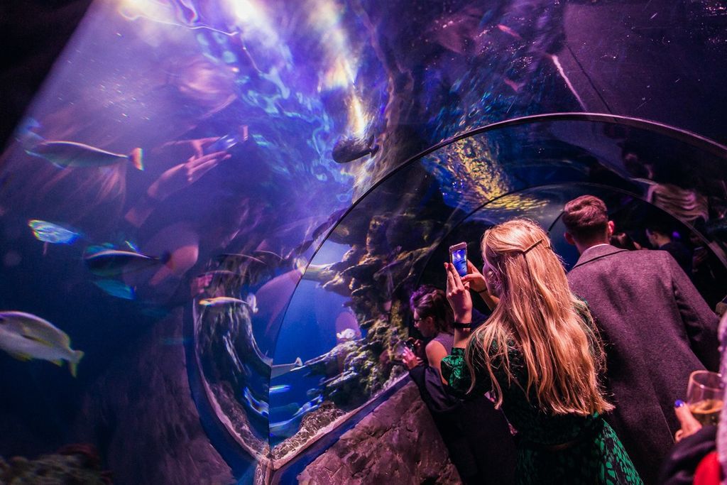 Sea Life London Aquarium Underwater Glass Tunnel