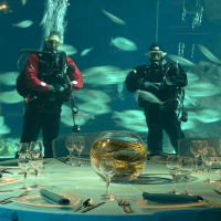 Divers inside the shark tank at SEA Life London can add a level of interactivity to your Christmas Party.