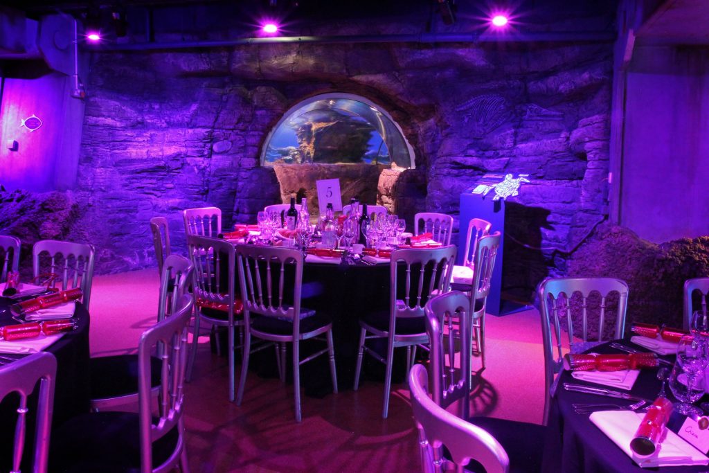 table set up for Christmas at SEALife London